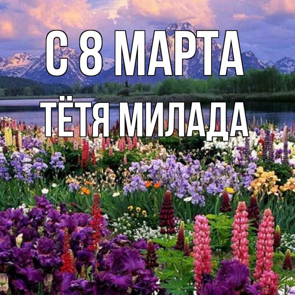 Открытка на каждый день с именем, Тётя-Милада С 8 МАРТА международный женский день Прикольная открытка с пожеланием онлайн скачать бесплатно 