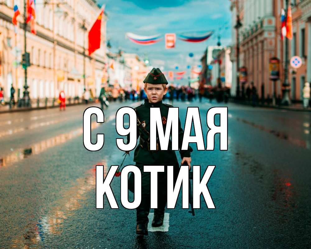 Картинка С 9 мая, котик