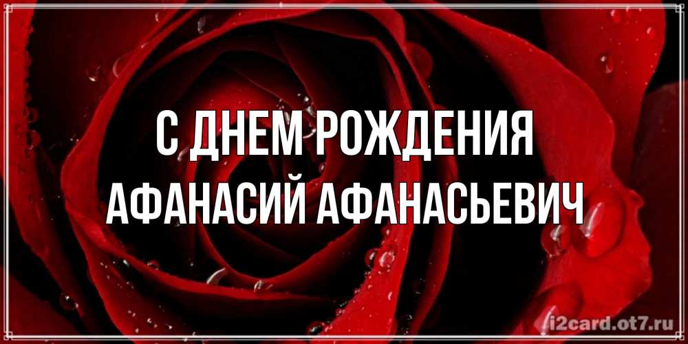 Открытка на каждый день с именем, Афанасий-Афанасьевич С днем рождения крупная бордовая роза Прикольная открытка с пожеланием онлайн скачать бесплатно 