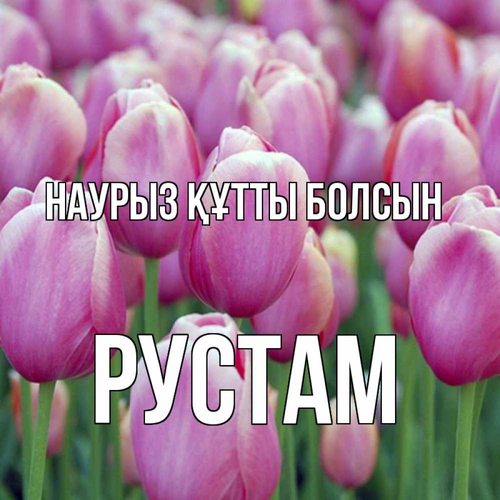 Открытка на каждый день с именем, Рустам Наурыз құтты болсын на наурыз  день 3 Прикольная открытка с пожеланием онлайн скачать бесплатно 