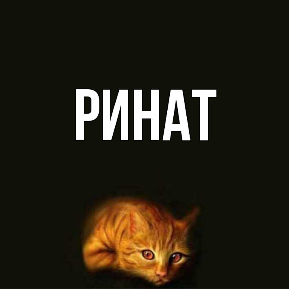 Открытки с именем ринат