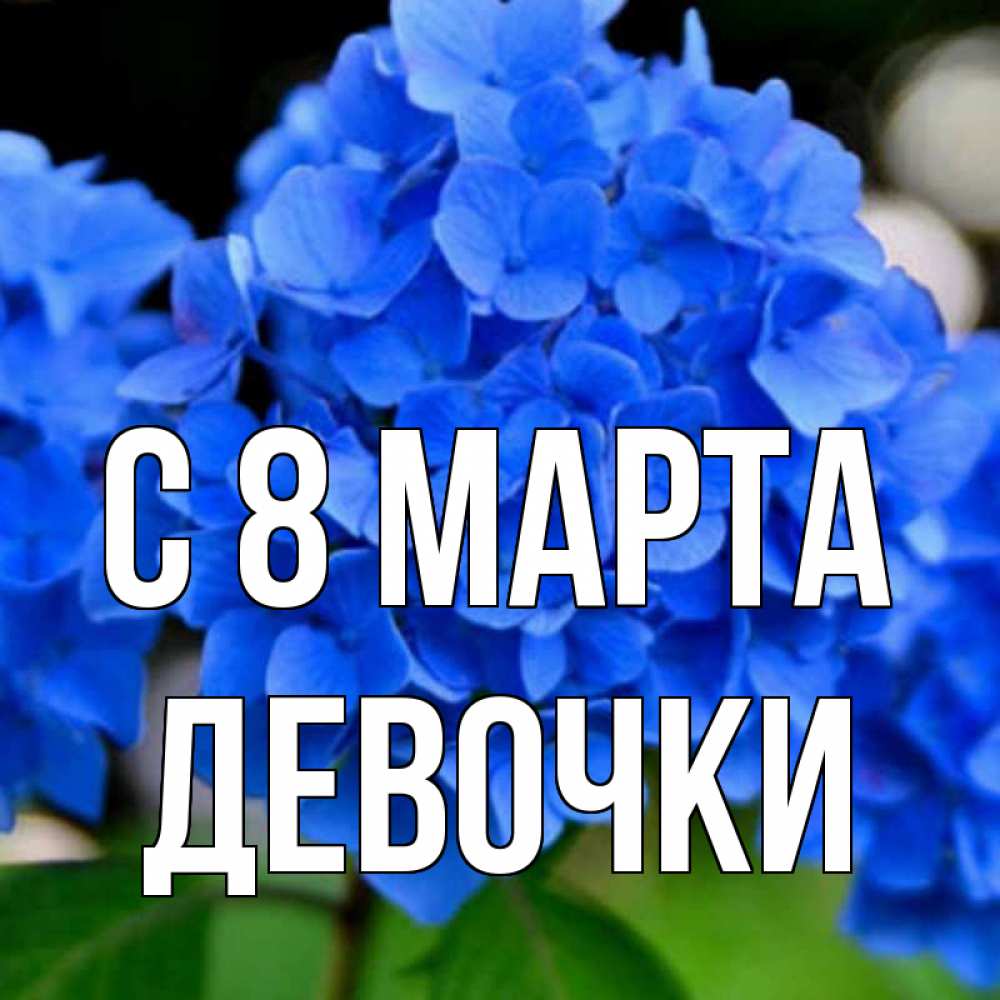 Картинка С 8 МАРТА, ДЕВОЧКИ