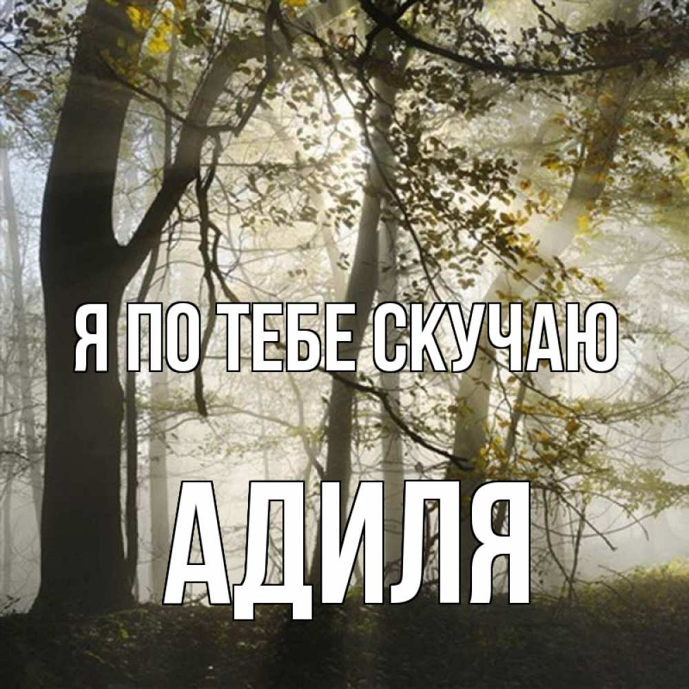 Открытка на каждый день с именем, Адиля Я по тебе скучаю грустно Прикольная открытка с пожеланием онлайн скачать бесплатно 