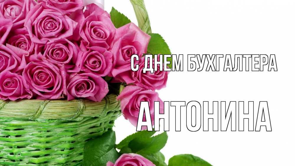 Открытка на каждый день с именем, Антонина С днем бухгалтера с днем бухгалтера Прикольная открытка с пожеланием онлайн скачать бесплатно 