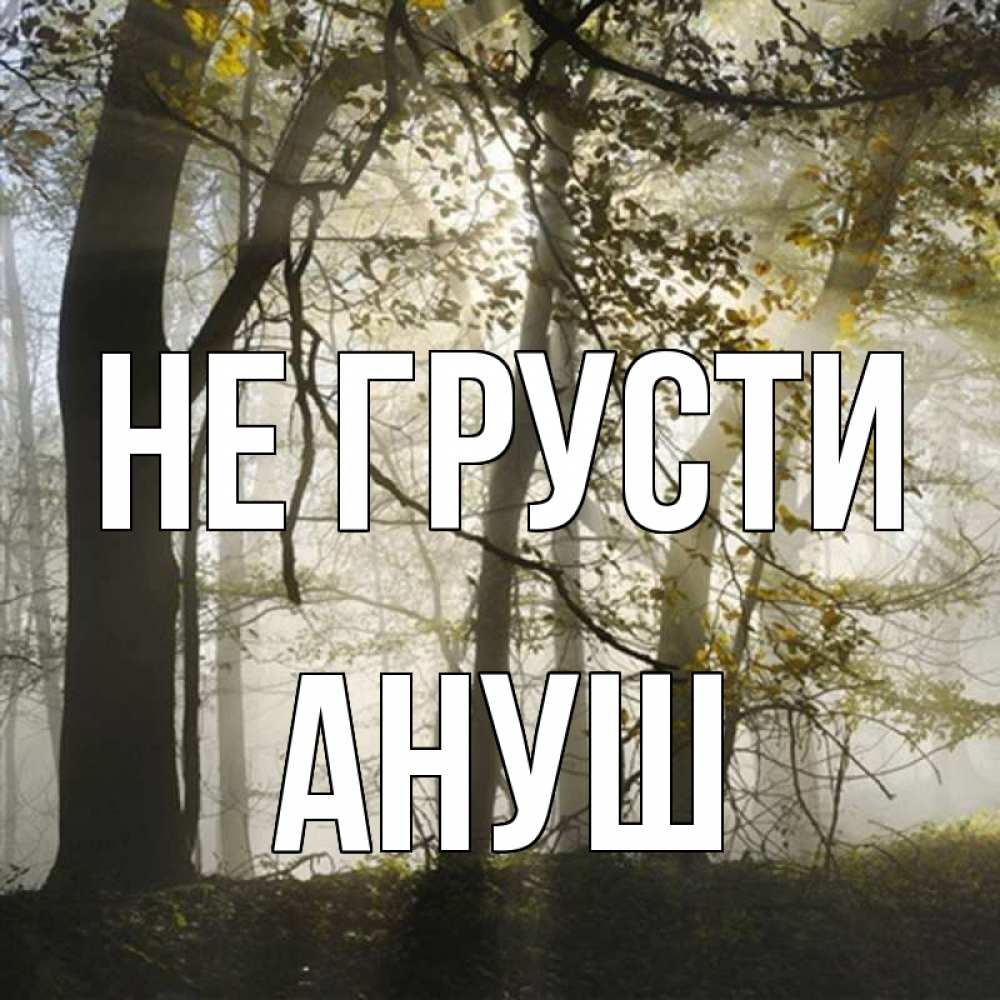 Открытка на каждый день с именем, Ануш Не грусти лес и свет Прикольная открытка с пожеланием онлайн скачать бесплатно 