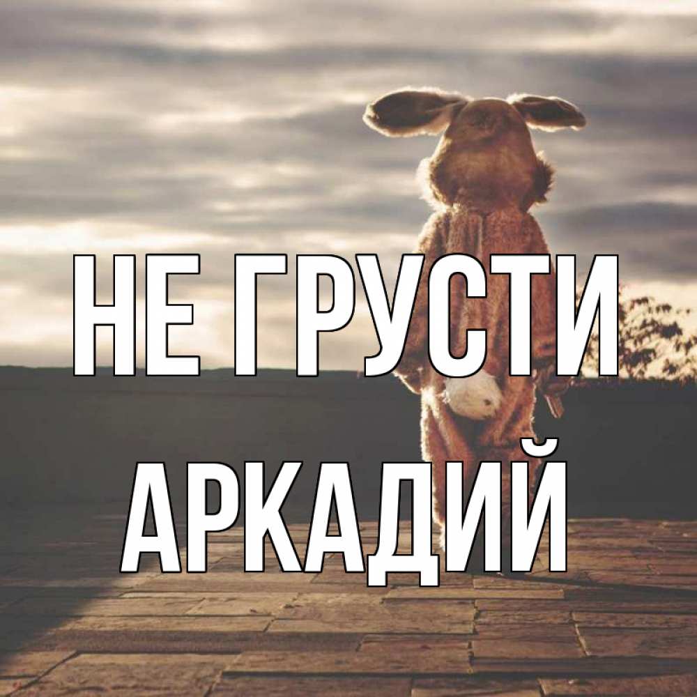 Открытка на каждый день с именем, Аркадий Не грусти со спины Прикольная открытка с пожеланием онлайн скачать бесплатно 