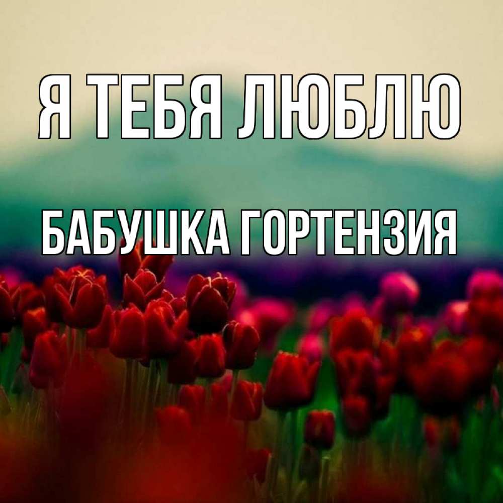 Открытка на каждый день с именем, Бабушка-Гортензия Я тебя люблю тюльпаны 4 Прикольная открытка с пожеланием онлайн скачать бесплатно 