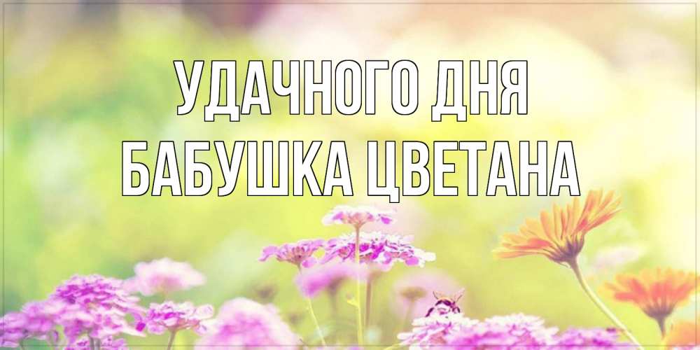 Открытка на каждый день с именем, Бабушка-Цветана Удачного дня красивая открытка с летней темой Прикольная открытка с пожеланием онлайн скачать бесплатно 