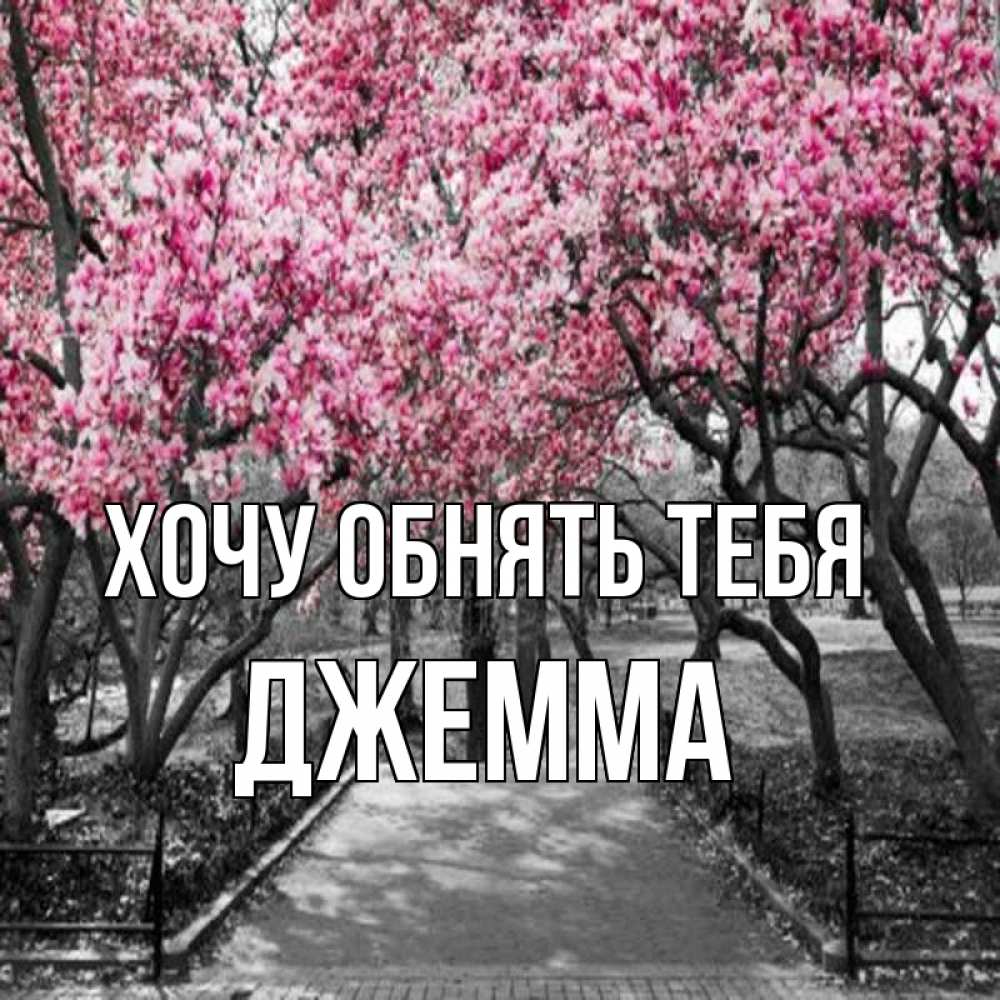 Открытка на каждый день с именем, Джемма Хочу обнять тебя обработанное фото Прикольная открытка с пожеланием онлайн скачать бесплатно 