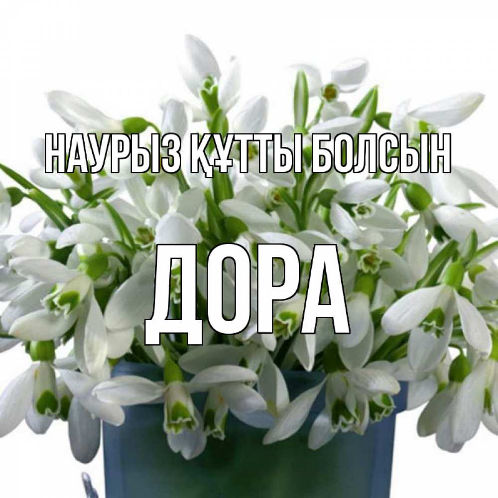 Открытка на каждый день с именем, Дора Наурыз құтты болсын цветы к наурызу Прикольная открытка с пожеланием онлайн скачать бесплатно 