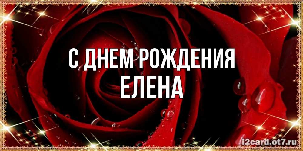 Открытка на каждый день с именем, Елена С днем рождения цветок в росе на день рождения Прикольная открытка с пожеланием онлайн скачать бесплатно 