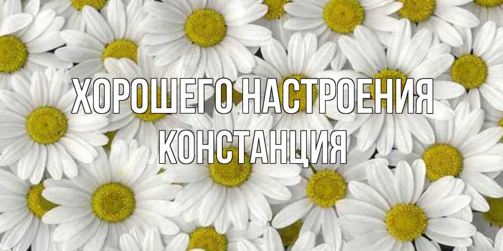 Открытка на каждый день с именем, Констанция Хорошего настроения поляна ромашек Прикольная открытка с пожеланием онлайн скачать бесплатно 