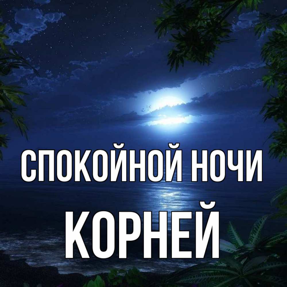 Открытка на каждый день с именем, Корней Спокойной ночи тропический остров Прикольная открытка с пожеланием онлайн скачать бесплатно 