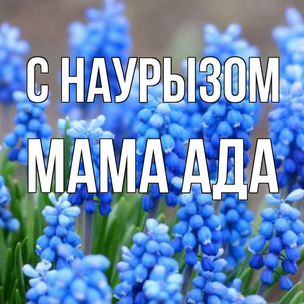 Открытка на каждый день с именем, Мама-Ада С наурызом Поздравительная открытка для женщин с цветами на праздничную дату Прикольная открытка с пожеланием онлайн скачать бесплатно 