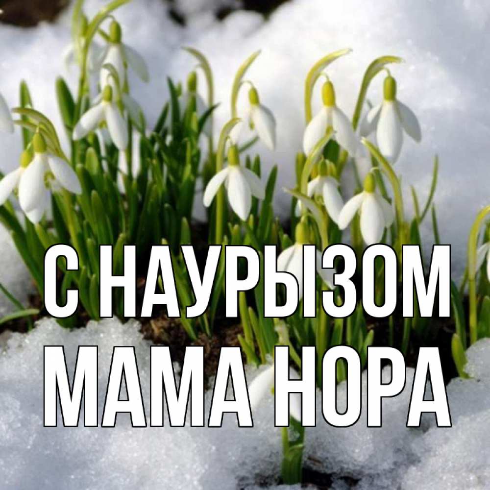 Открытка на каждый день с именем, Мама-Нора С наурызом цветы весенние Прикольная открытка с пожеланием онлайн скачать бесплатно 
