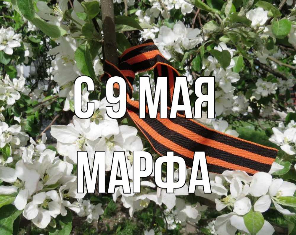 Открытка на каждый день с именем, Марфа С 9 мая 9 мая Прикольная открытка с пожеланием онлайн скачать бесплатно 