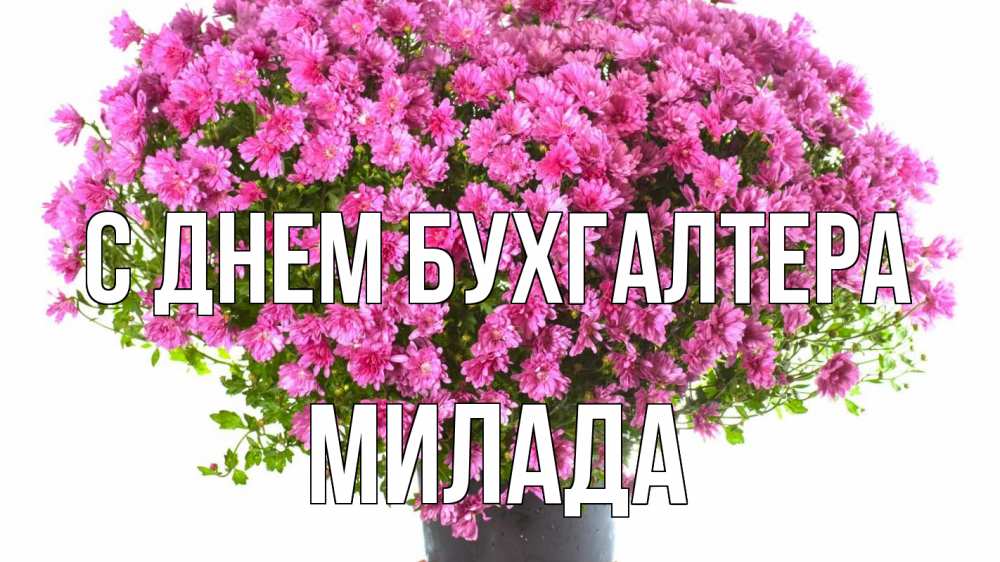 Открытка на каждый день с именем, Милада С днем бухгалтера с днем бухгалтера Прикольная открытка с пожеланием онлайн скачать бесплатно 