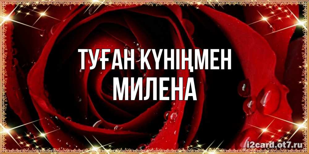 Открытка на каждый день с именем, Милена Туған күніңмен цветок в росе на день рождения Прикольная открытка с пожеланием онлайн скачать бесплатно 