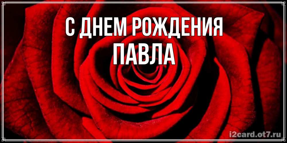 Открытка на каждый день с именем, Павла С днем рождения алая роза Прикольная открытка с пожеланием онлайн скачать бесплатно 