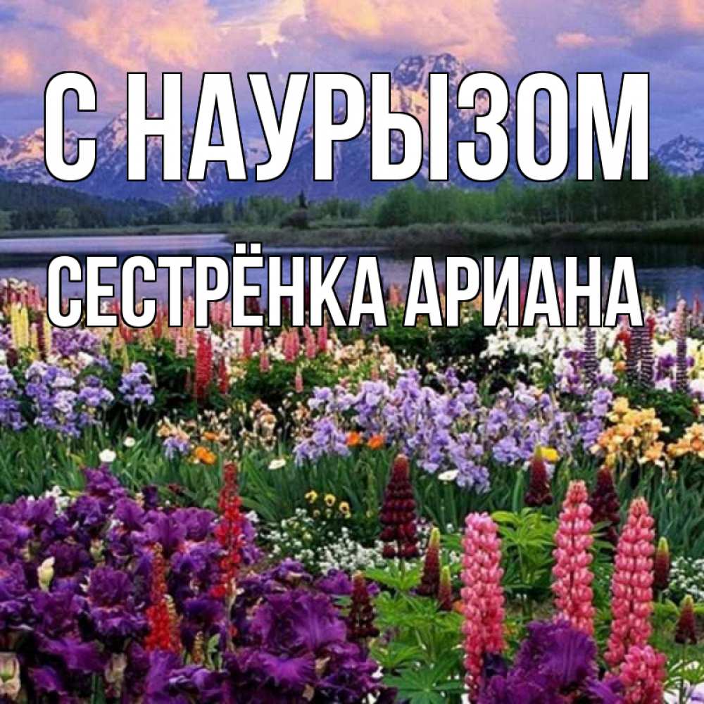 Открытка на каждый день с именем, Сестрёнка-Ариана С наурызом праздник весны наурыз Прикольная открытка с пожеланием онлайн скачать бесплатно 