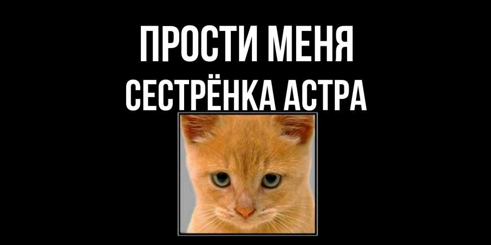 Открытка на каждый день с именем, Сестрёнка-Астра Прости меня рыжий грустный кот просит прощения Прикольная открытка с пожеланием онлайн скачать бесплатно 