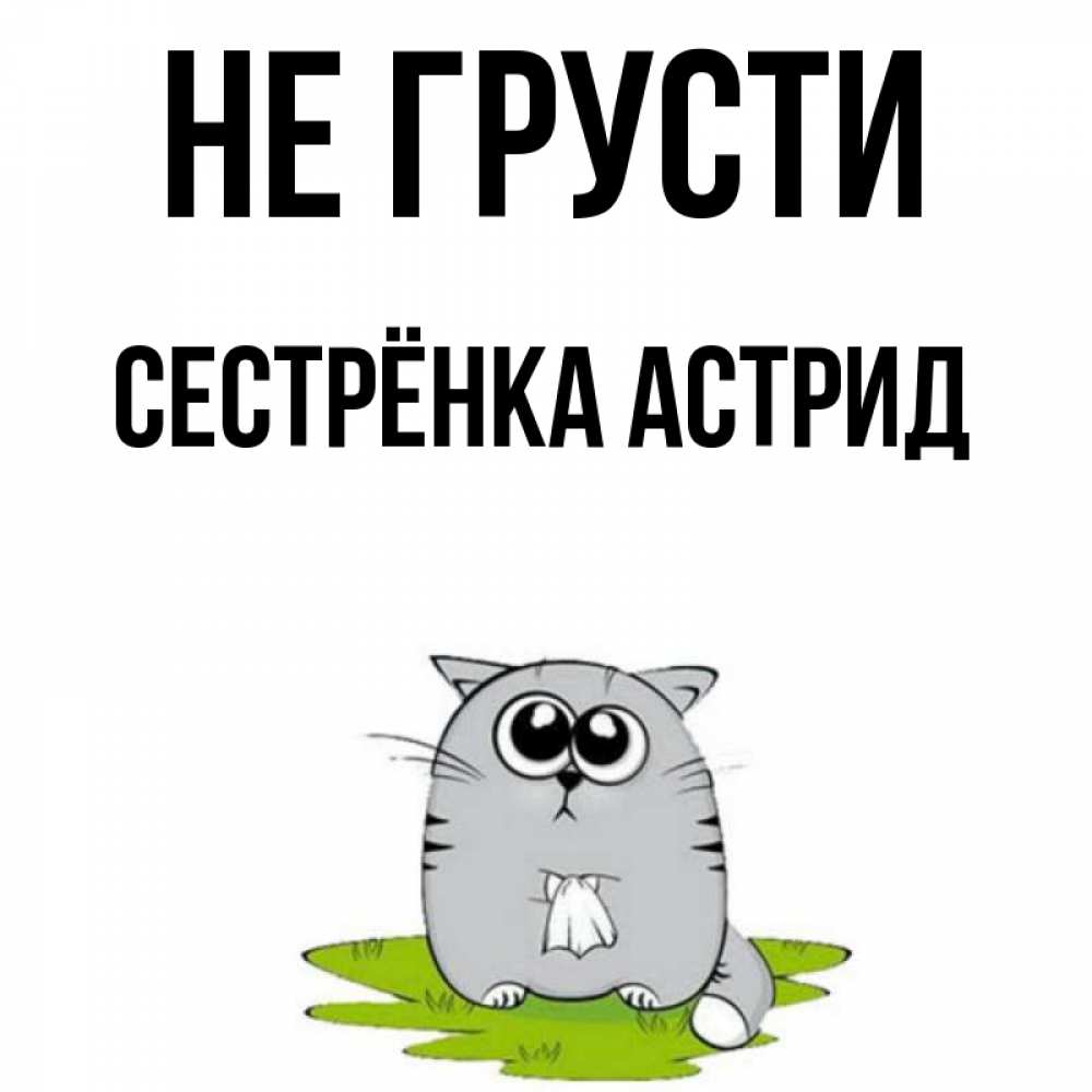 Открытка на каждый день с именем, Сестрёнка-Астрид Не грусти грустный котяра Прикольная открытка с пожеланием онлайн скачать бесплатно 