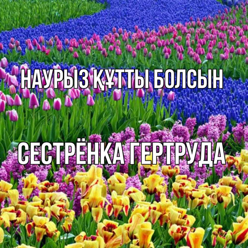 Открытка на каждый день с именем, Сестрёнка-Гертруда Наурыз құтты болсын цветы Прикольная открытка с пожеланием онлайн скачать бесплатно 