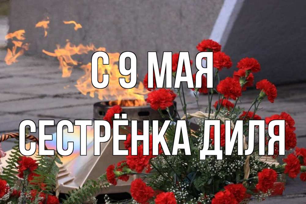 Открытка на каждый день с именем, Сестрёнка-Диля С 9 мая 9 мая Прикольная открытка с пожеланием онлайн скачать бесплатно 