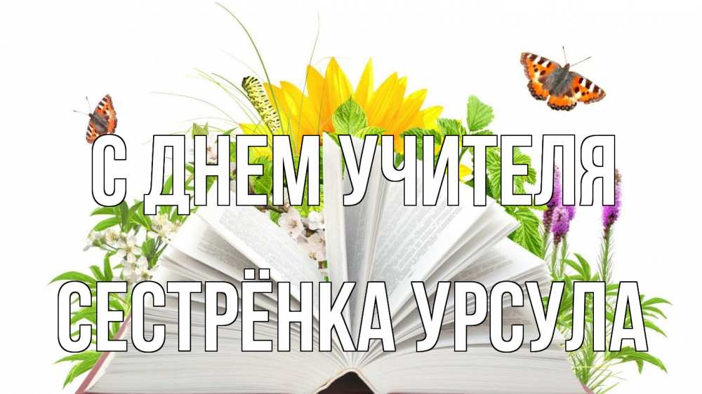 Открытка на каждый день с именем, Сестрёнка-Урсула С днем учителя с днем учителя Прикольная открытка с пожеланием онлайн скачать бесплатно 