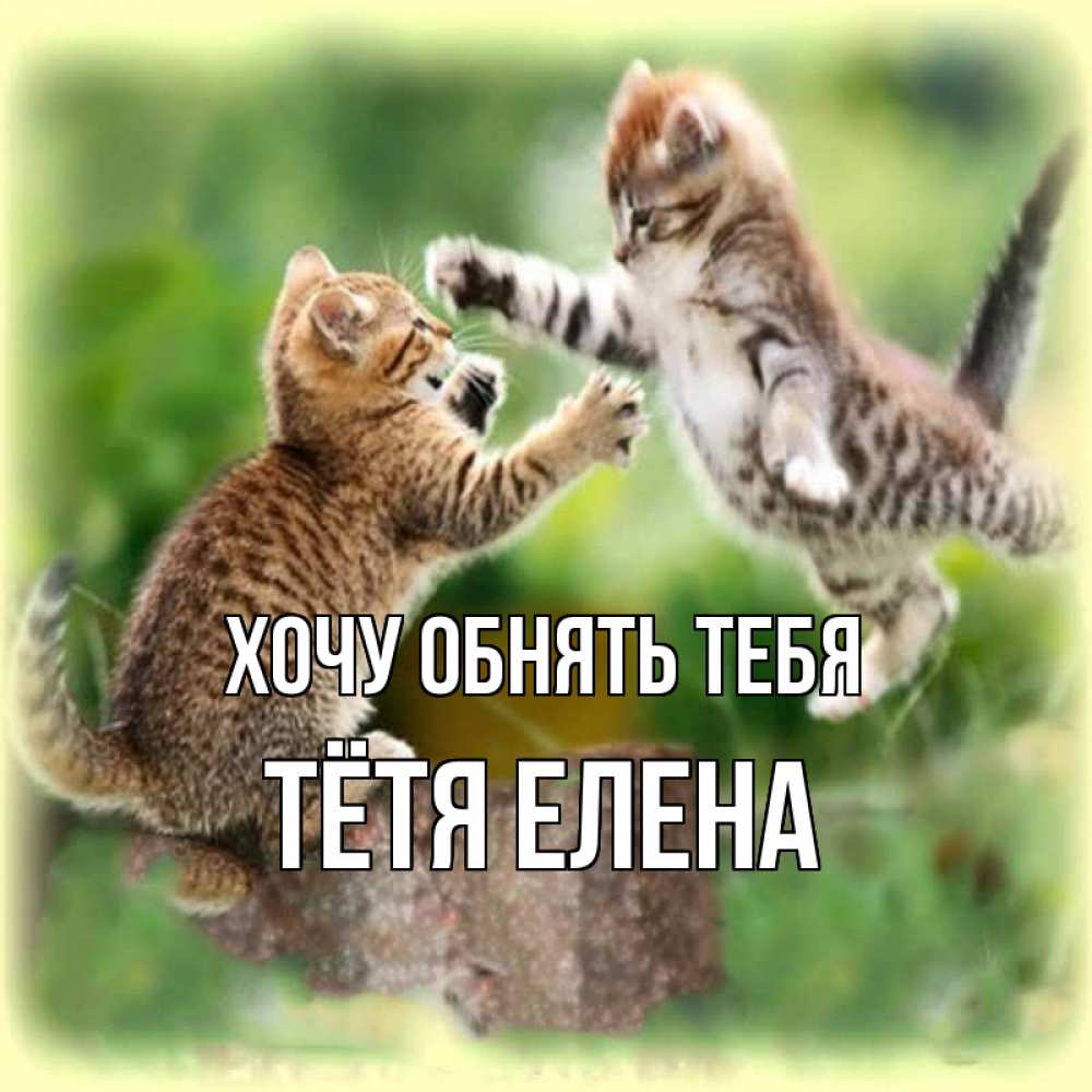 Открытка на каждый день с именем, Тётя-Елена Хочу обнять тебя игры котят Прикольная открытка с пожеланием онлайн скачать бесплатно 