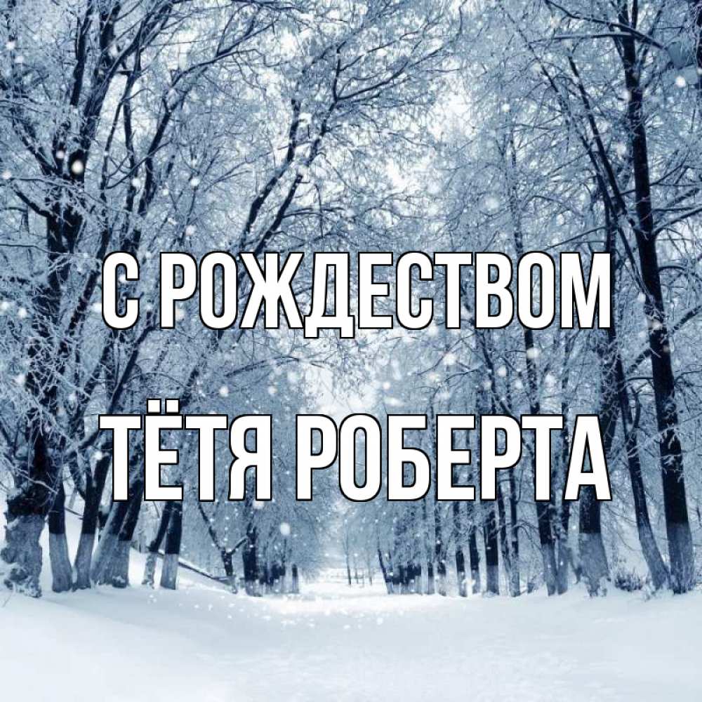 Открытка на каждый день с именем, Тётя-Роберта С рождеством снег, лес, парк Прикольная открытка с пожеланием онлайн скачать бесплатно 