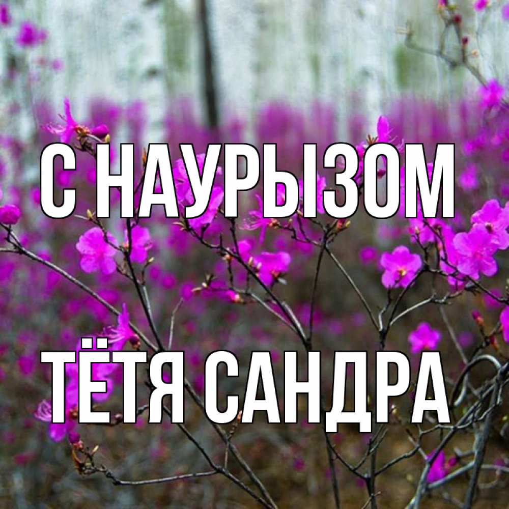 Открытка на каждый день с именем, Тётя-Сандра С наурызом дикие цветы Прикольная открытка с пожеланием онлайн скачать бесплатно 