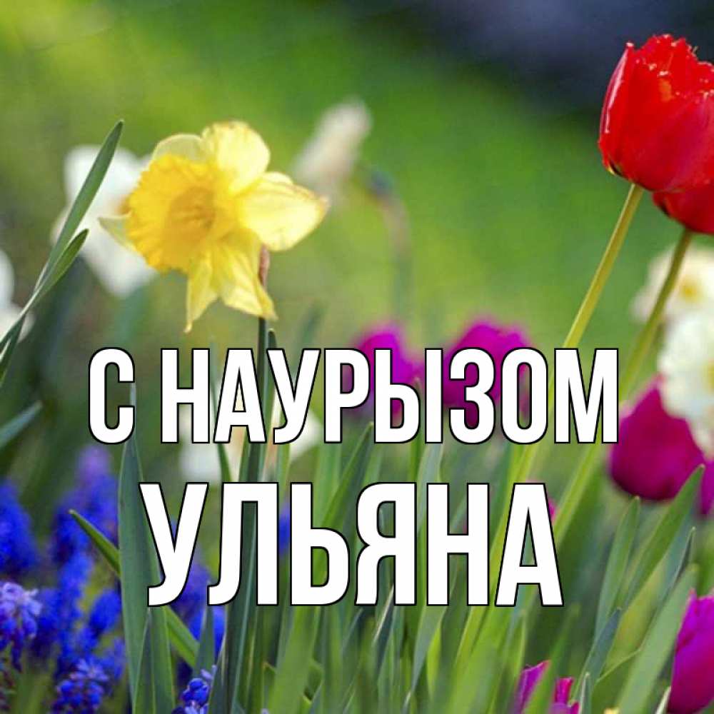 Открытка на каждый день с именем, Ульяна С наурызом праздник весны наурыз 3 Прикольная открытка с пожеланием онлайн скачать бесплатно 