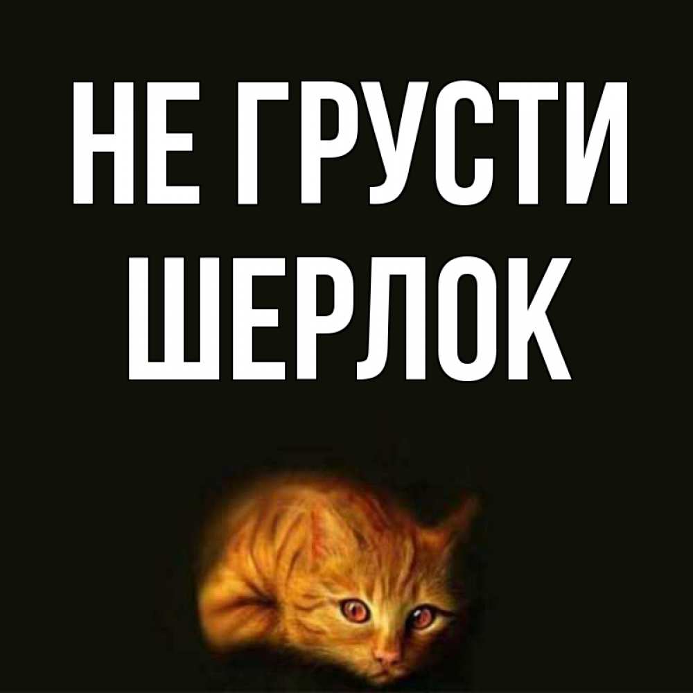 Открытка на каждый день с именем, Шерлок Не грусти лежащий кот в темноте Прикольная открытка с пожеланием онлайн скачать бесплатно 