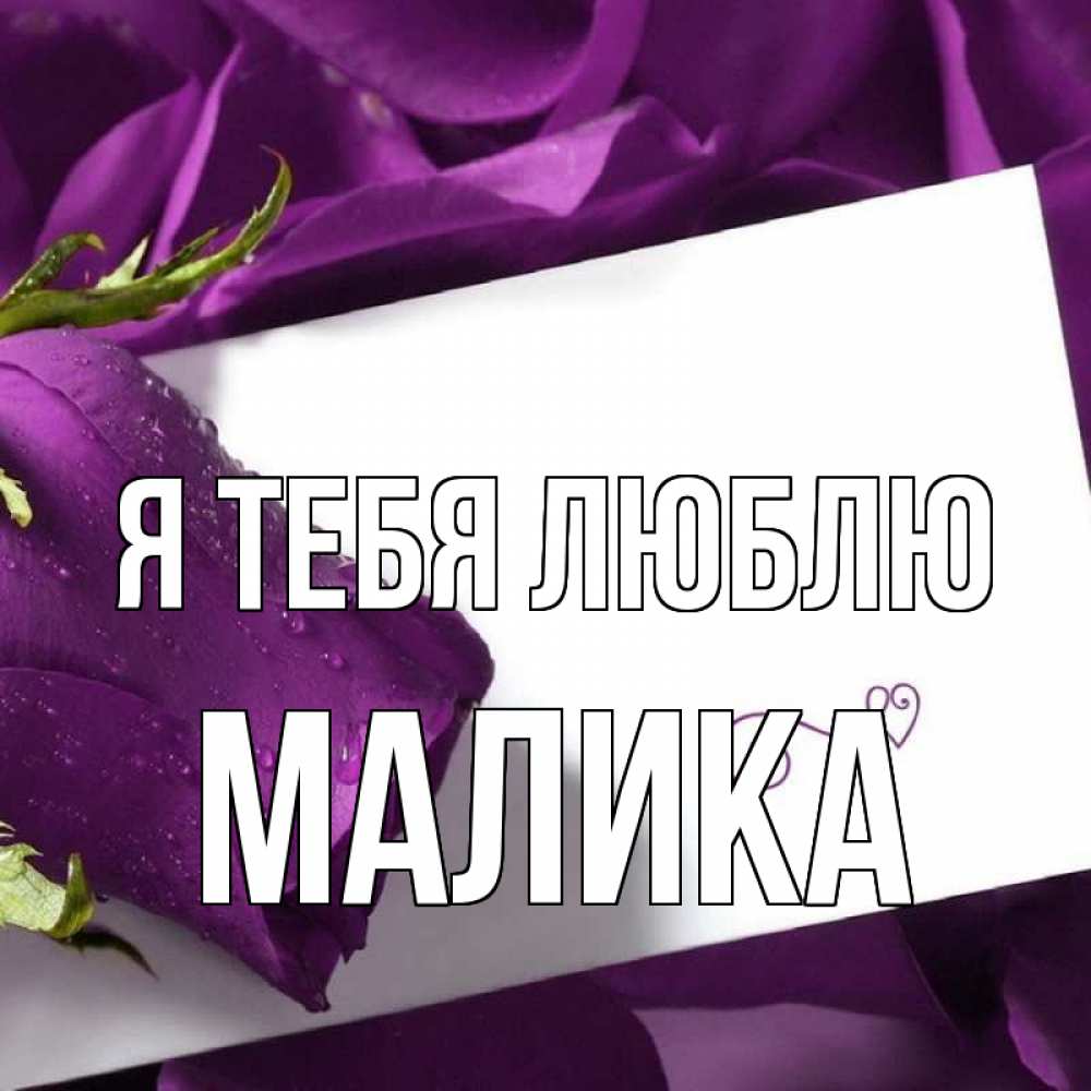 Песня цветок малика. Медина я тебя люблю. Цветы Малика. Малика я люблю тебя. Картинки с именем Медина.