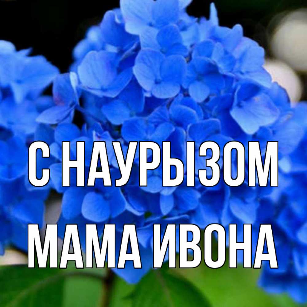 Открытка на каждый день с именем, Мама-Ивона С наурызом синие цветы Прикольная открытка с пожеланием онлайн скачать бесплатно 