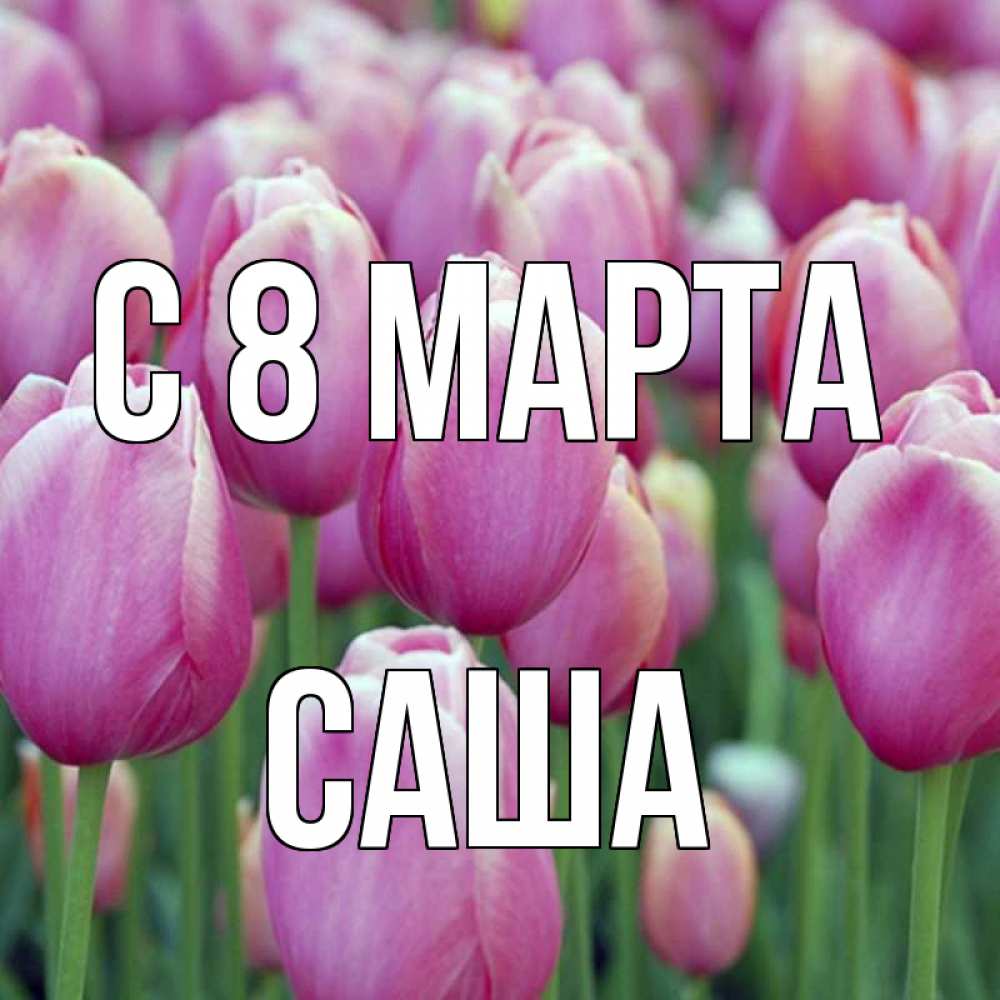 Открытка на каждый день с именем, Саша С 8 марта на международный женский день 3 Прикольная открытка с пожеланием онлайн скачать бесплатно 
