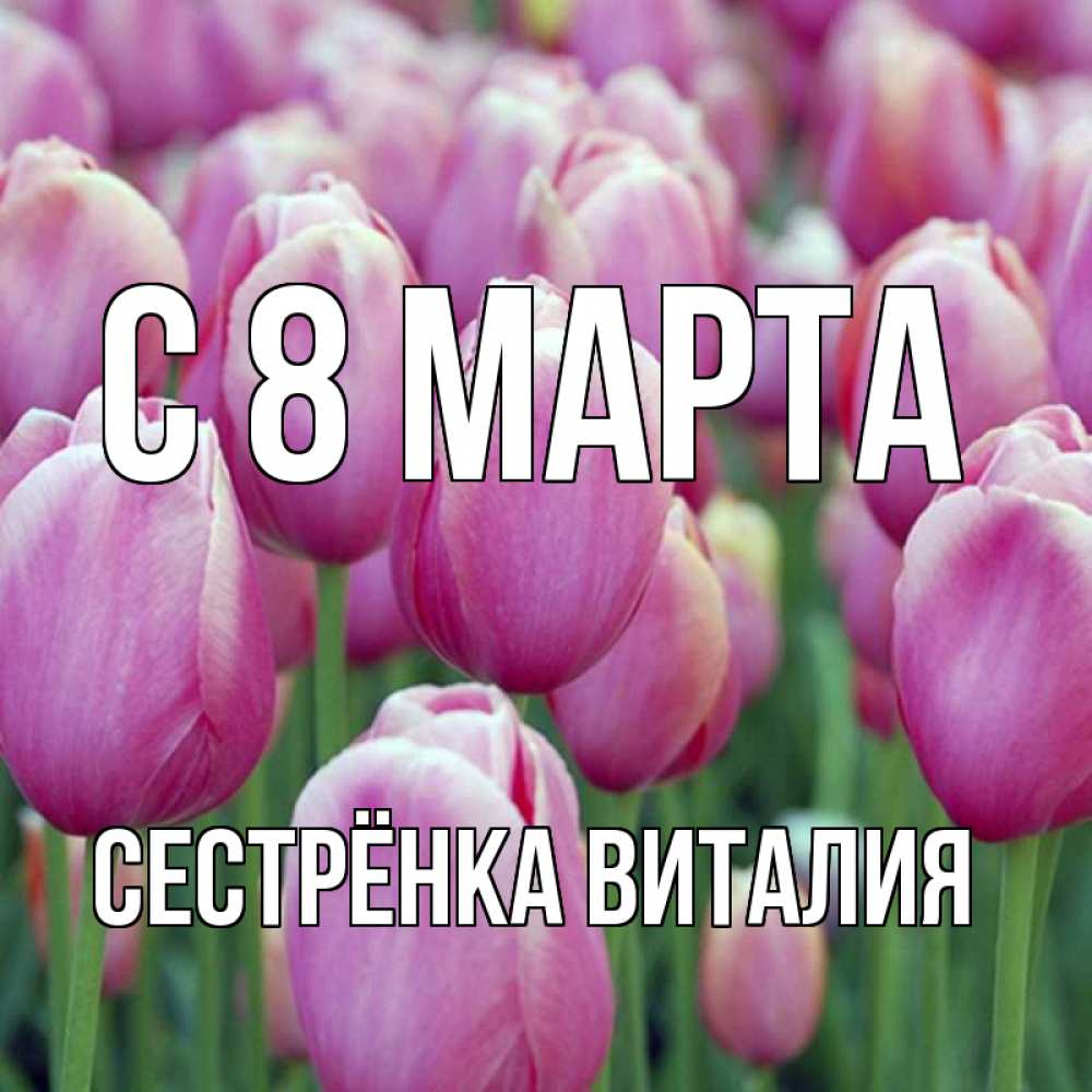 Открытка на каждый день с именем, Сестрёнка-Виталия С 8 марта на международный женский день 3 Прикольная открытка с пожеланием онлайн скачать бесплатно 