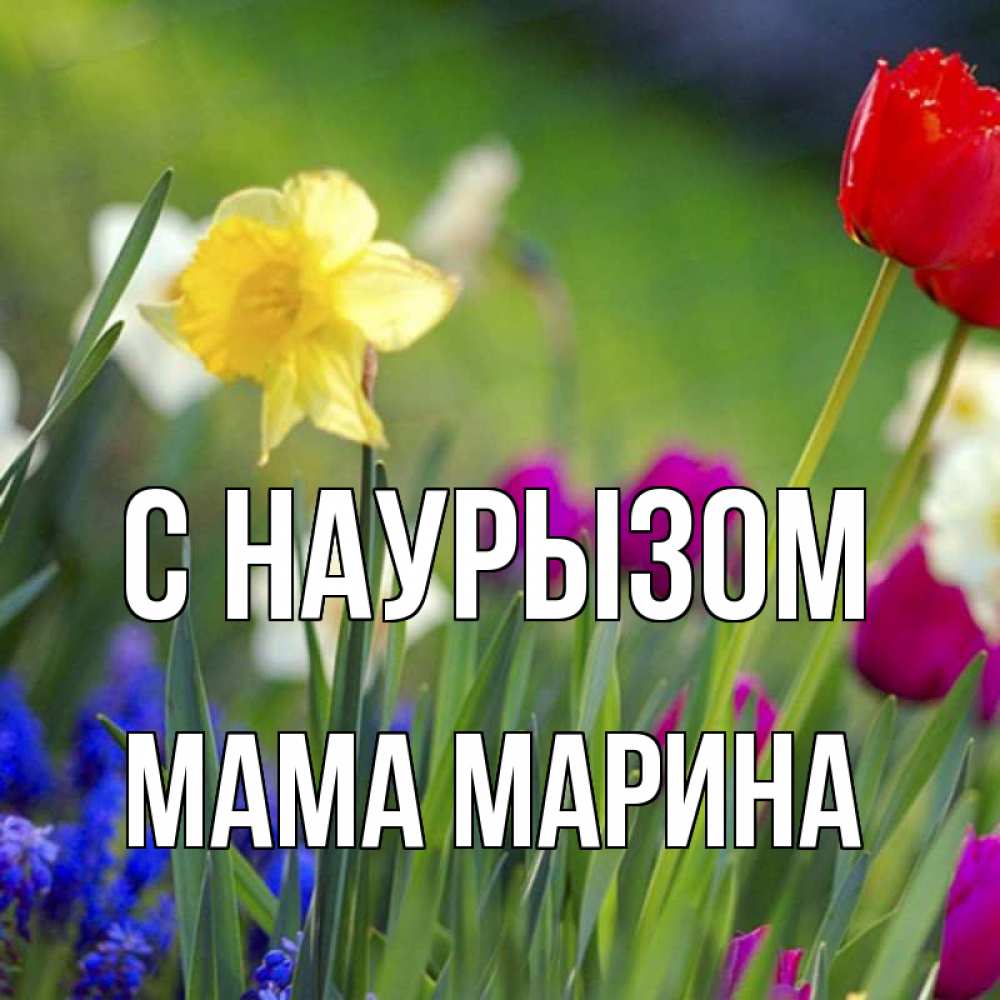 Открытка на каждый день с именем, Мама-Марина С наурызом праздник весны наурыз 3 Прикольная открытка с пожеланием онлайн скачать бесплатно 