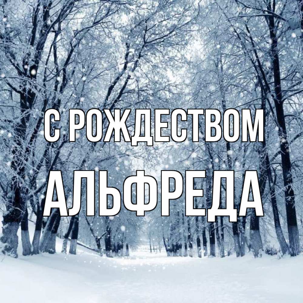 Открытка на каждый день с именем, Альфреда С рождеством снег, лес, парк Прикольная открытка с пожеланием онлайн скачать бесплатно 