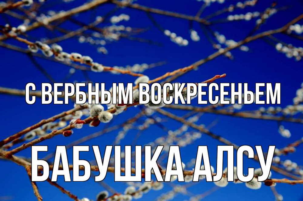 Открытка на каждый день с именем, Бабушка-Алсу С вербным воскресеньем верба Прикольная открытка с пожеланием онлайн скачать бесплатно 