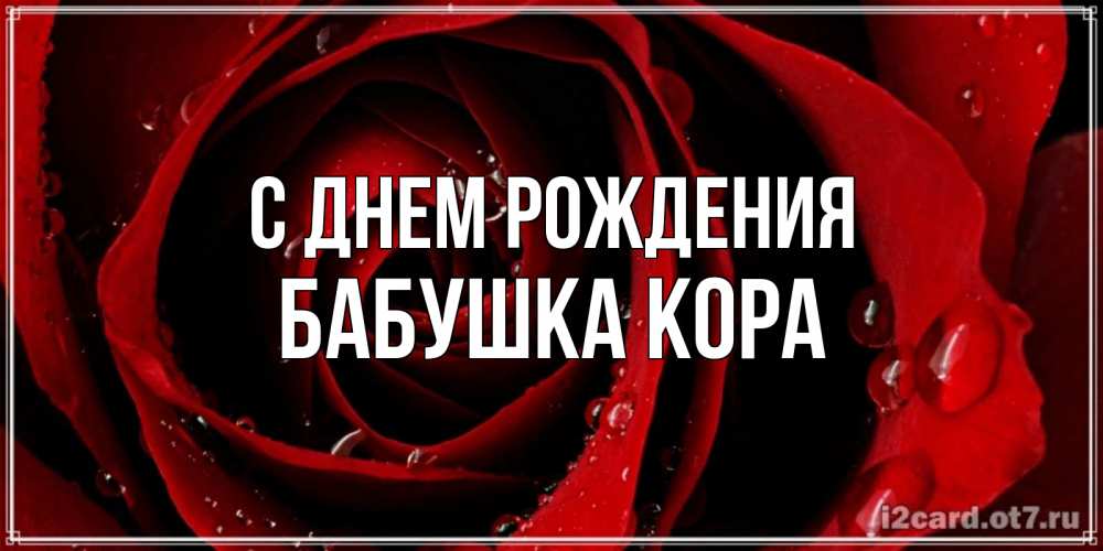 Открытка на каждый день с именем, Бабушка-Кора С днем рождения крупная бордовая роза Прикольная открытка с пожеланием онлайн скачать бесплатно 