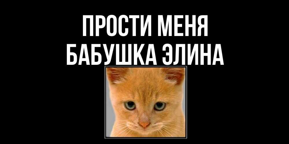 Открытка на каждый день с именем, Бабушка-Элина Прости меня рыжий грустный кот просит прощения Прикольная открытка с пожеланием онлайн скачать бесплатно 