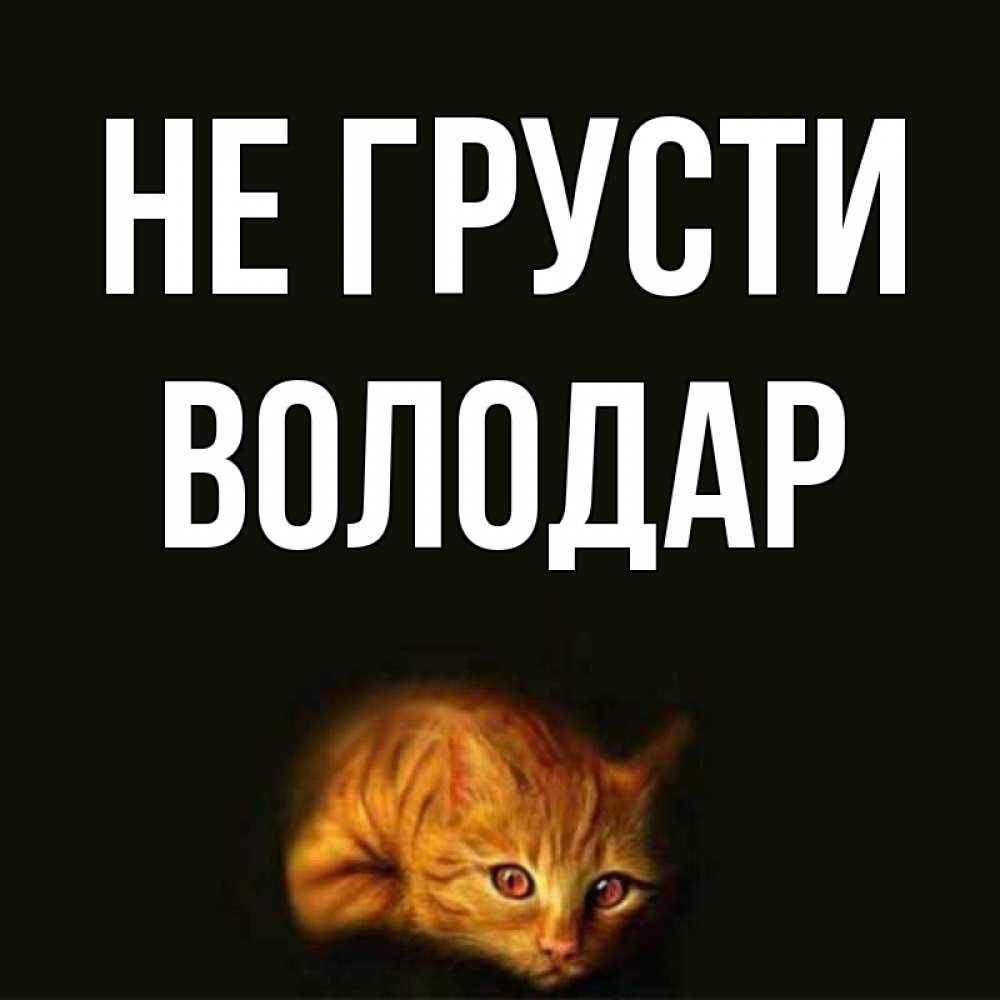 Открытка на каждый день с именем, Володар Не грусти лежащий кот в темноте Прикольная открытка с пожеланием онлайн скачать бесплатно 