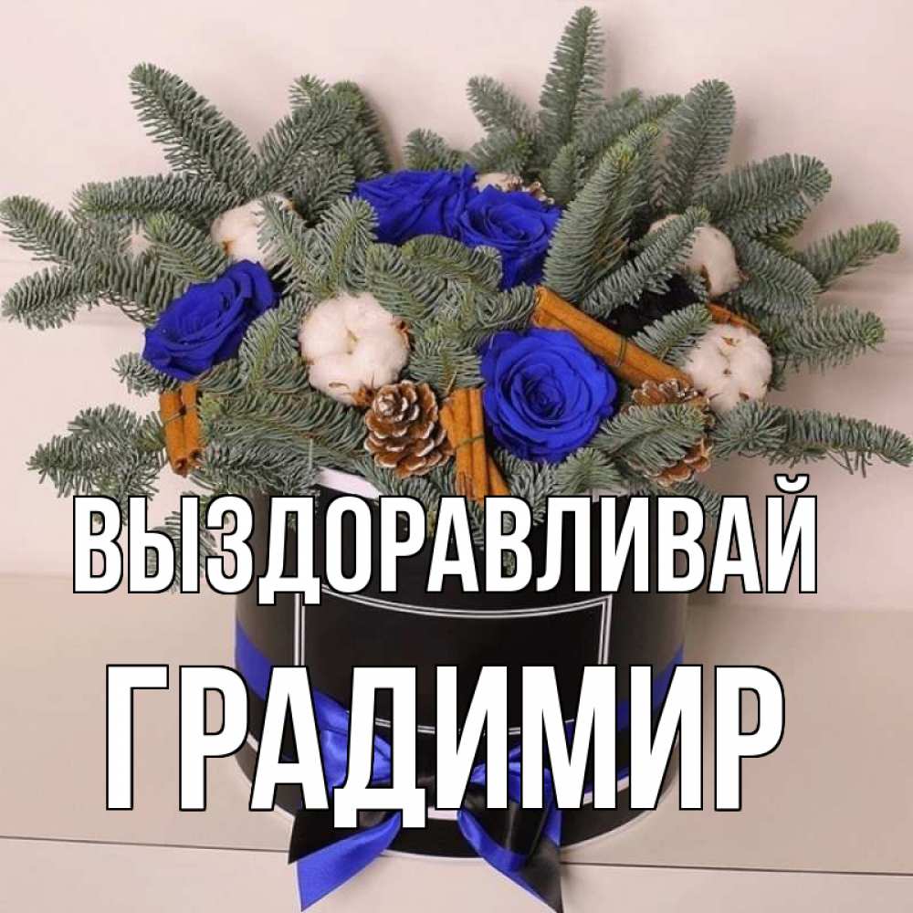 Открытка на каждый день с именем, Градимир Выздоравливай короче кто то загрузил эти шишки Прикольная открытка с пожеланием онлайн скачать бесплатно 