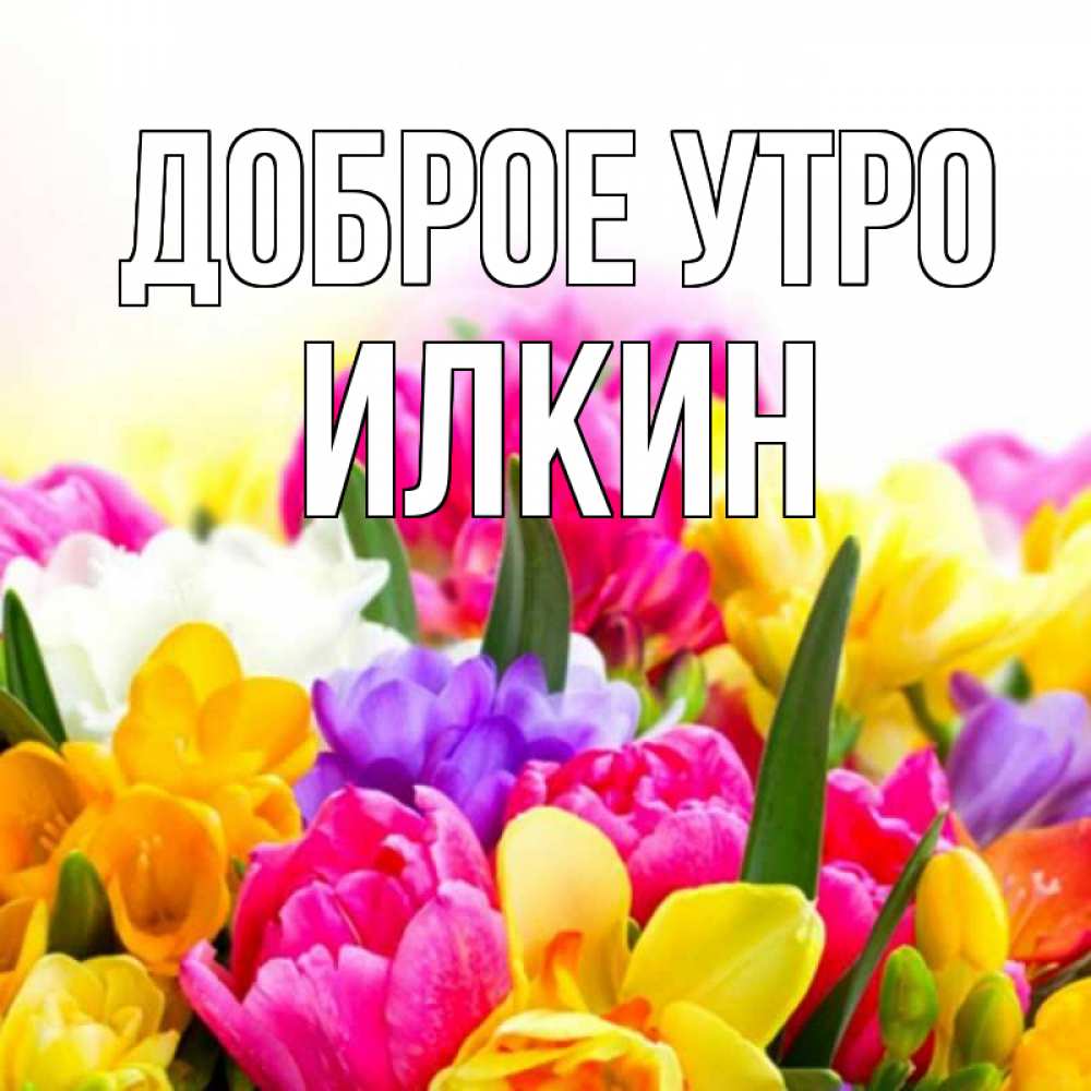 Открытка на каждый день с именем, Илкин Доброе утро создать открытку со свое подписью Прикольная открытка с пожеланием онлайн скачать бесплатно 