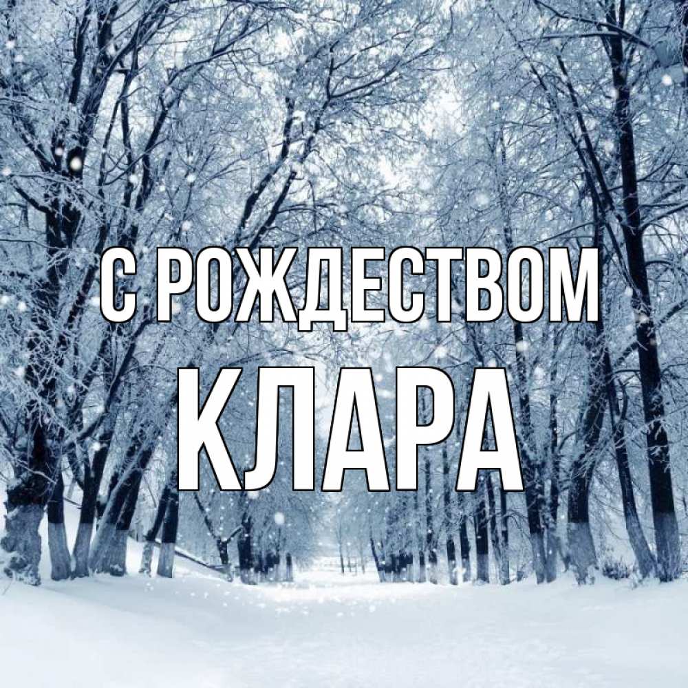 Открытка на каждый день с именем, Клара С рождеством снег, лес, парк Прикольная открытка с пожеланием онлайн скачать бесплатно 