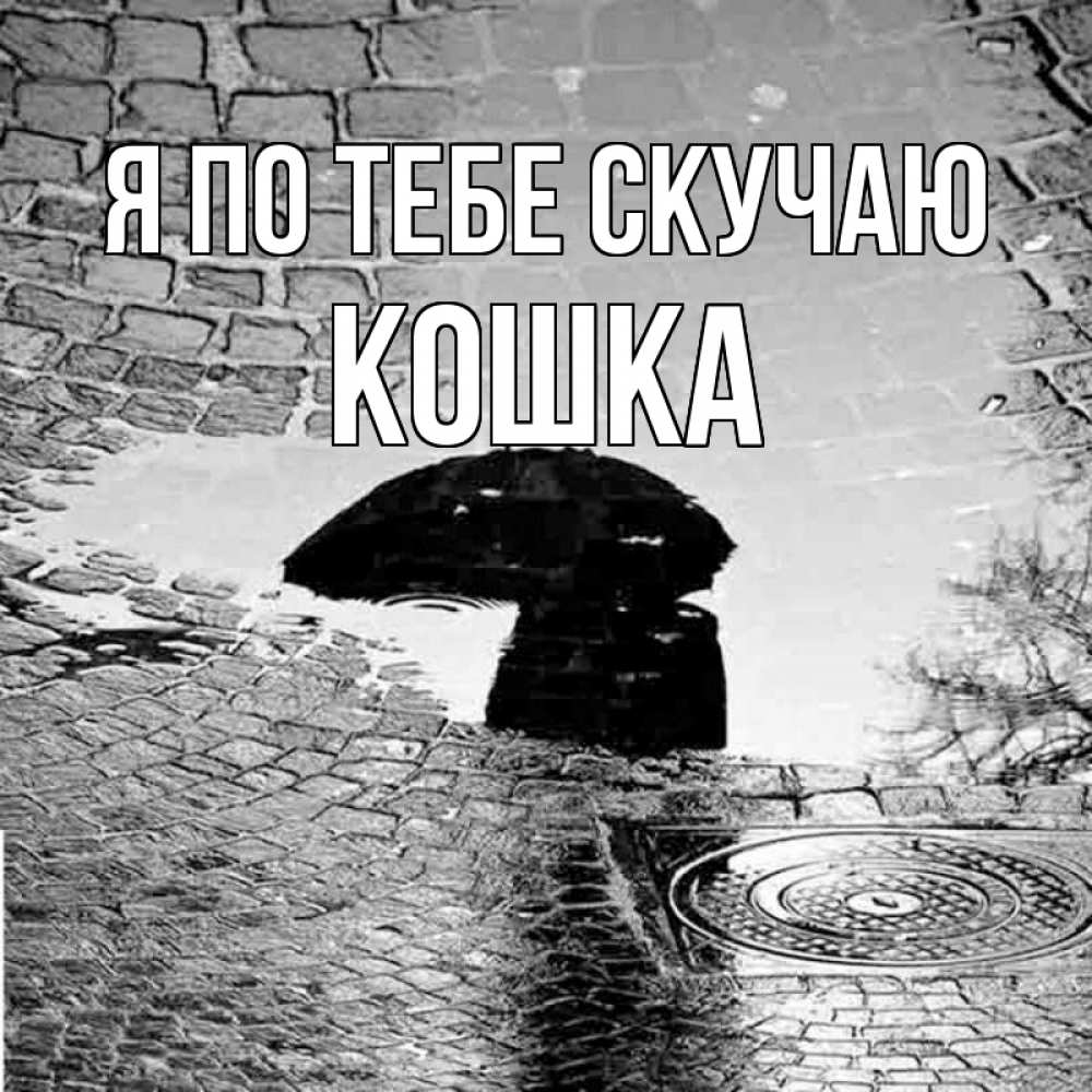 Открытка на каждый день с именем, Кошка Я по тебе скучаю зонт люк Прикольная открытка с пожеланием онлайн скачать бесплатно 