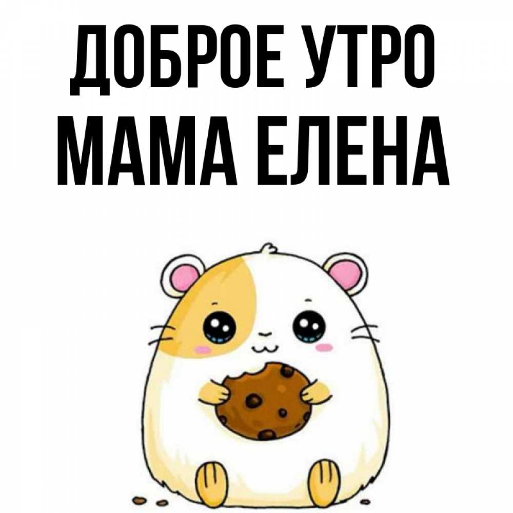 Открытка на каждый день с именем, Мама-Елена Доброе утро есть печеньку. Утречко Прикольная открытка с пожеланием онлайн скачать бесплатно 