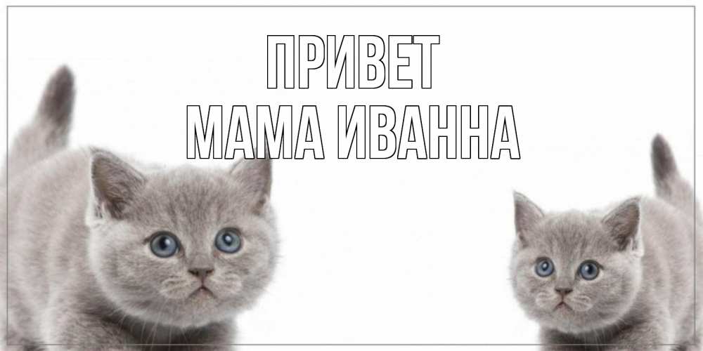 Открытка на каждый день с именем, Мама-Иванна Привет коты Прикольная открытка с пожеланием онлайн скачать бесплатно 